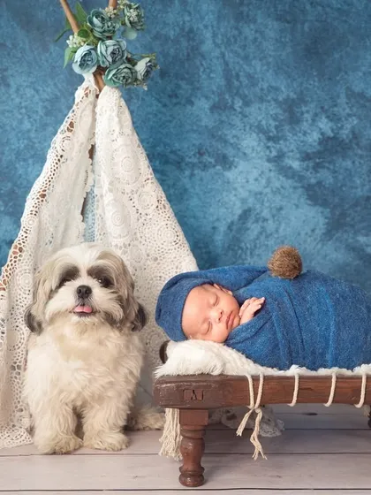 Your fur babies are family too. I welcome pets into the studio to capture the complete family portrait, celebrating the bond between your newborn and their first furry friend.
