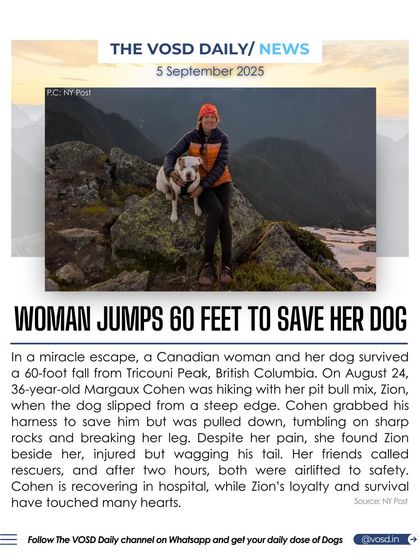 A Canadian woman survived a 60-foot fall from a mountain after her dog's harness pulled her down. Despite her injuries, she found her loyal dog Zion waiting by her side until rescuers arrived.
