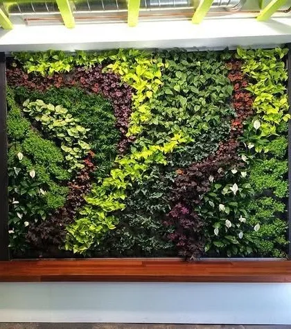 An indoor vertical garden installed as a living art piece. The design uses a variety of plant textures and colors to create a natural, flowing pattern, set above a wooden bench.