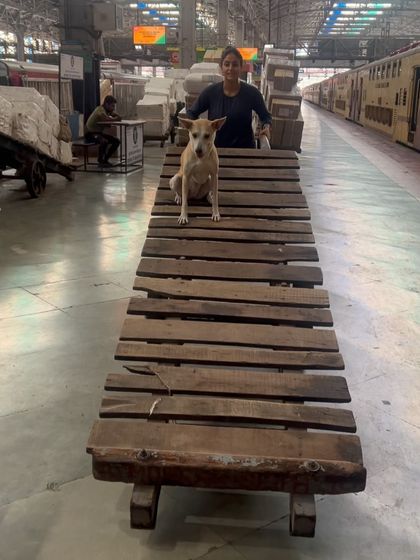 Pantu, the queen of the luggage cart.