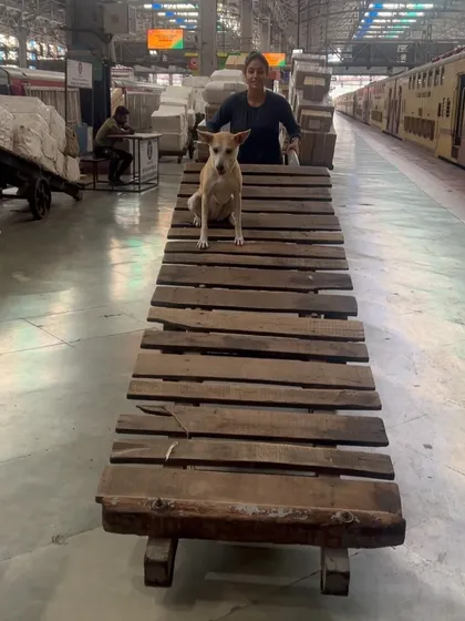 Pantu, the queen of the luggage cart.