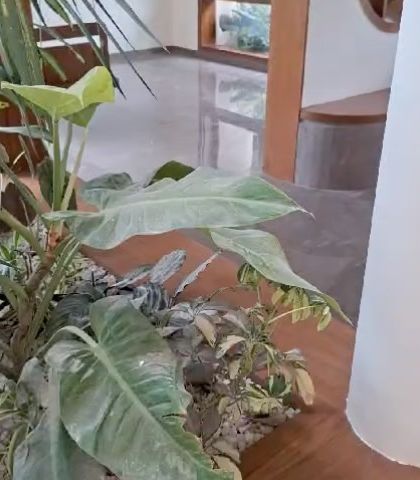 Make My Garden - Garden Design & Landscaping Indoor Green Spaces photo 23