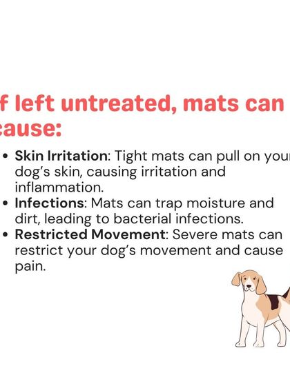 Woofly - Home Veterinary Services Coat & Skin Care photo 6