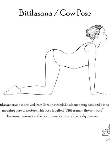 Anagha Yoga - Therapeutic Yoga Yoga Foundations: Asana Library photo 25