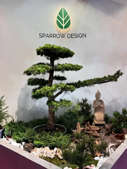 I love designing tranquil corners like this Zen garden. By combining a sculpted Podocarpus bonsai with a serene Buddha statue and natural elements, I can create a pocket of peace and mindfulness for your home or office.