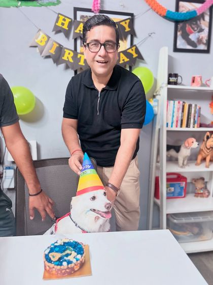 A full-on birthday celebration for Bunni, complete with a "Happy Birthday" banner, balloons, and of course, a delicious cake. Every dog deserves to be celebrated like this.