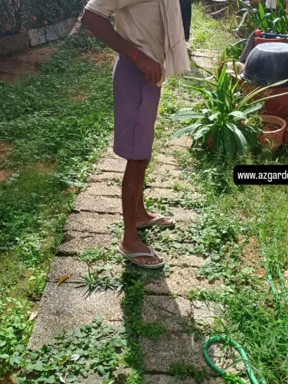 Before the makeover: an overgrown and uneven backyard path. This is the starting point for many of my transformation projects.