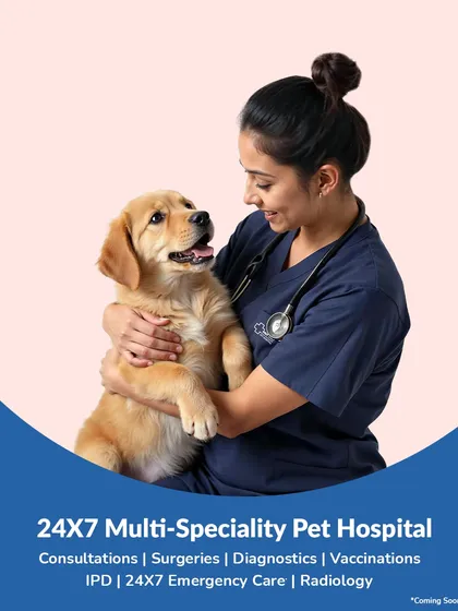 This is our commitment to you: a 24x7 multi-speciality pet hospital designed to cover every aspect of your pet's health. From routine consultations and vaccinations to advanced diagnostics, surgeries, and emergency care, we are a complete ecosystem for your pet's well-being.
