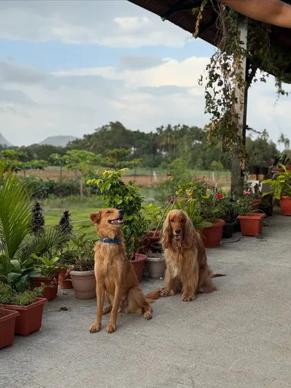 Posto making a new friend during our staycation.
