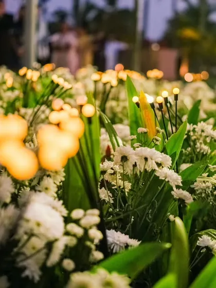 A close-up of the firefly lights we placed within the garden foliage leading to the mandap. These tiny, warm lights created a magical, starry path for the couple and their guests.