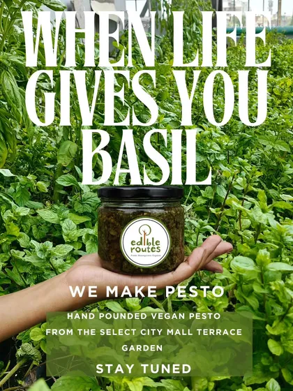 When my farm gives me an abundance of fresh basil, I make this hand-pounded vegan pesto. It’s a simple, flavourful paste made with ingredients grown right on our terrace garden at Select Citywalk.