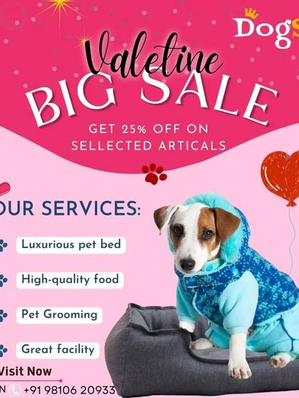 A special Valentine's sale announcement. I offer more than just grooming, including luxurious pet beds and high-quality food to make your pet feel extra loved.