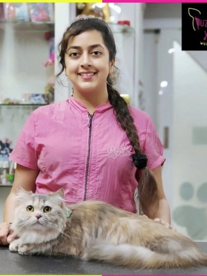 Fuzzy Wuzzy - Pet Grooming & Spa Expert Cat & Rabbit Grooming photo 12