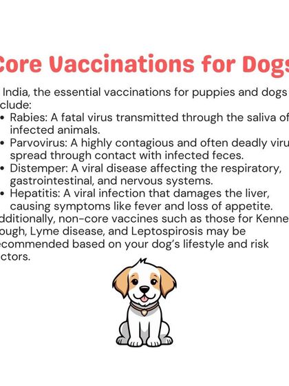 Woofly - Home Veterinary Services At-Home Vaccinations & Deworming photo 8