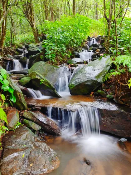 A beautiful shot of a stream cascading through the forest, showcasing the natural beauty included in my Nethravathi trek package.