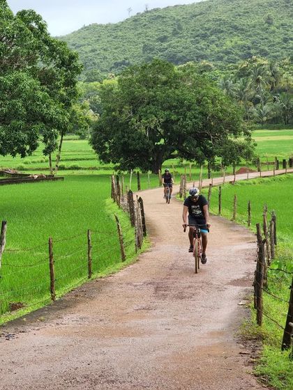 Cycling on a narrow path through vibrant green paddy fields in Gokarna. The monsoon season brings the landscape to life, creating a stunning backdrop for our rides.