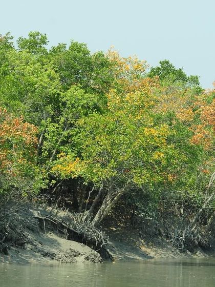 India's Wild Tapestry: Landscapes & Habitats photo 12