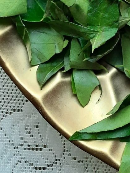 A bowl of fresh curry leaves. I infuse oils with these leaves or add them directly to my shampoo bars to help promote hair strength and vitality.