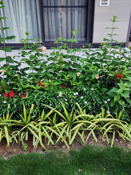 Delhi Gardner - Full-Service Landscaping Our Process: From Concept to Creation photo 26