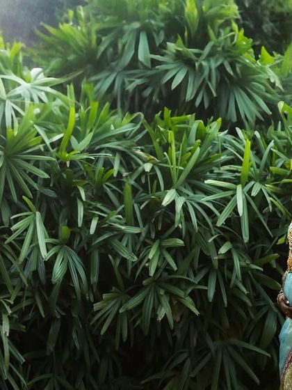 Wedding Clickz - Wedding Photography Bridal Portraits: The Soul of the Bride photo 87