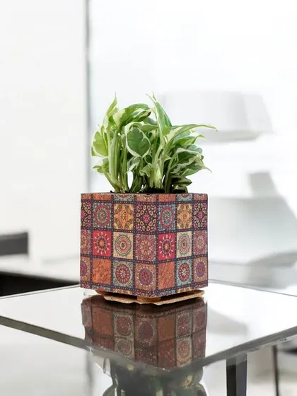 This beautiful planter pot features a vibrant mosaic tile design on a sustainable base. It's a wonderful way to add a pop of color and greenery to any indoor space.
