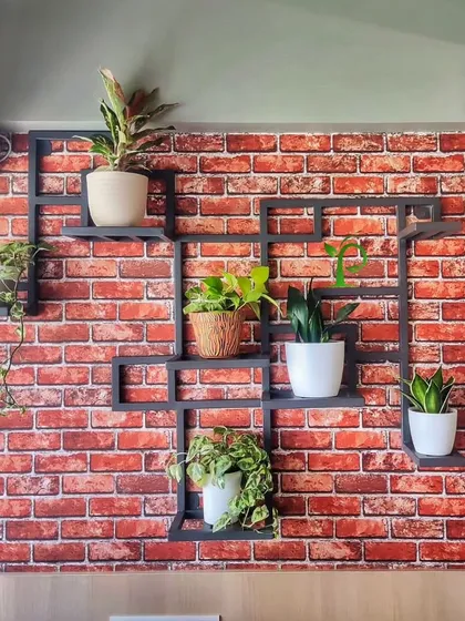 Even a simple pantry wall can become a source of fresh air and beauty. I installed this custom geometric shelf to hold a variety of "oxygen bombs" for the office staff to enjoy.