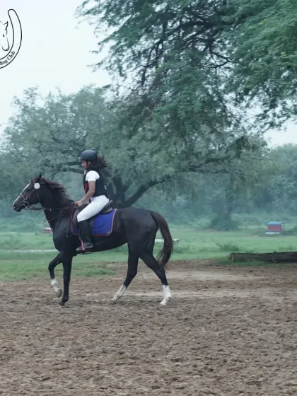 A female rider confidently guides her horse through the arena. Our goal is to empower every rider.