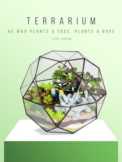 We also offer hands-on workshops, like this terrarium-making session at The Plant Festival. These workshops are a fun way to learn a new skill and create your own miniature green world to take home.