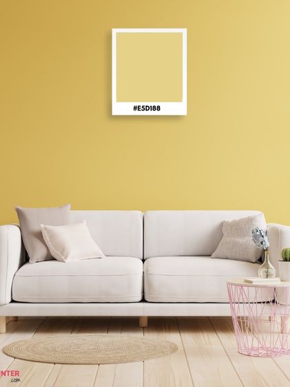 AapkaPainter - Residential Painting Elegant Interiors & Luxury Finishes photo 19