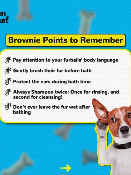Here are some brownie points to remember for a perfect bath time, like brushing before the bath and protecting their ears.