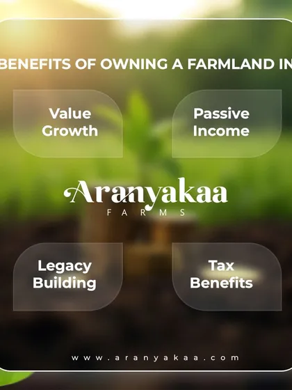 The benefits of owning a farmland with us are clear and compelling. We deliver value growth, passive income, a foundation for legacy building, and significant tax benefits, all within a professionally managed framework.