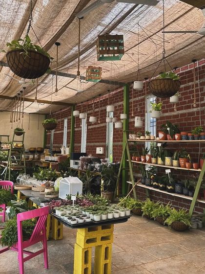 The Vibe: Our Green Oasis photo 33