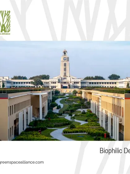 A view of the biophilic design at the BITS campus, where green roofs and terraced gardens are integrated with the architecture. This approach enhances well-being, improves environmental health, and connects students and faculty with nature in their daily lives.