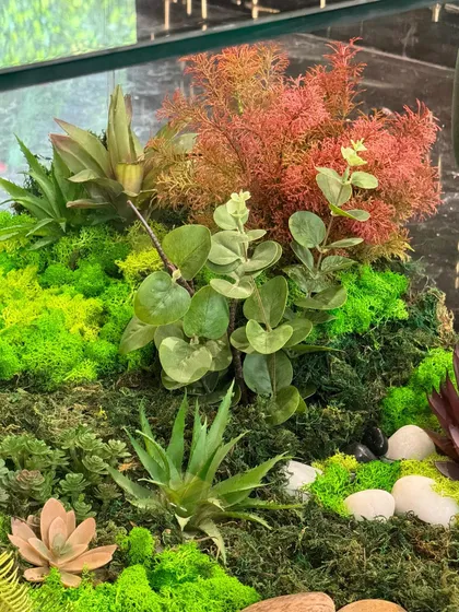 A close-up of the artificial succulents and moss inside our terrarium table. The vibrant colors and varied textures create a rich and detailed miniature landscape.