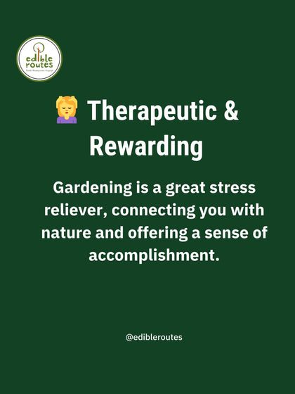 Gardening is a therapeutic and rewarding hobby. It serves as a great stress reliever, connecting you with nature and offering a profound sense of accomplishment with every harvest.