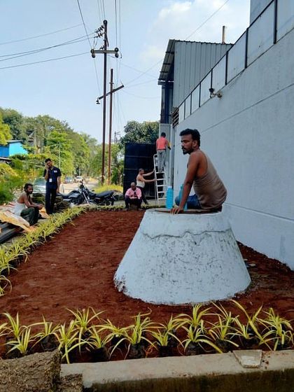 Lush Lawns & Ground-Level Gardens photo 8