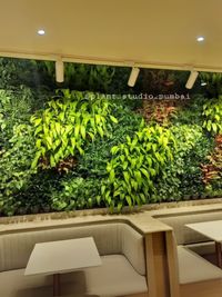 Landscape & Interior Plant Design