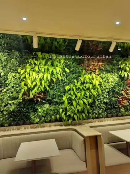 This lush, vibrant vertical garden transforms a commercial dining area into a refreshing oasis. I use a diverse mix of plants to create texture and depth, making it a living piece of art that also improves air quality.