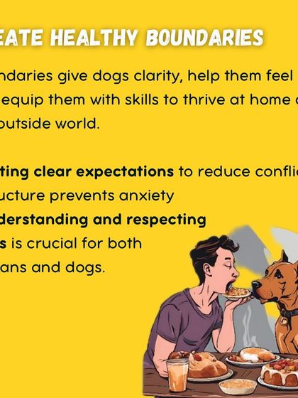 Garima Tomar - Board and Train Programs My Training Philosophy photo 5