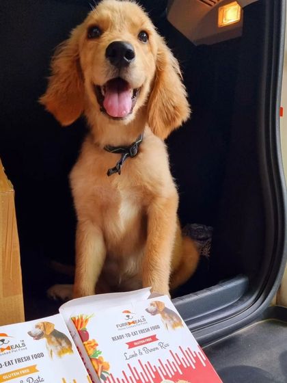 Look at that happy face. Little Bliss is all smiles, ready for her road trip with her favorite Lamb & Brown Rice and Chicken & Pasta meals. My travel-friendly packs make feeding on the go simple and healthy.
