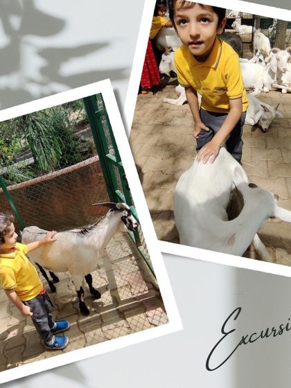 Ace Montessori - Montessori Preschool Program Beyond the Classroom: Field Trips & Outings photo 9