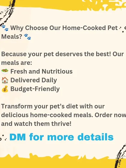 This graphic summarizes why you should choose my home-cooked meals. They are fresh and nutritious, delivered daily for your convenience, and are budget-friendly. Transform your pet's diet and watch them thrive.