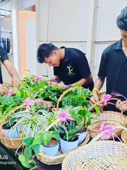 My hardworking team is the heart of Plant Studio. Here they are, carefully preparing beautiful plant hampers for a large Diwali order, ensuring every gift is perfect and delivered on time.