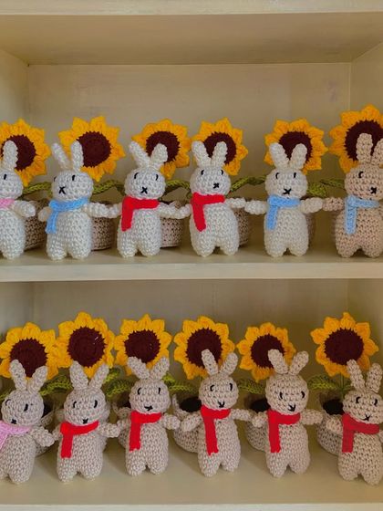 Cheerful Potted Plants photo 13