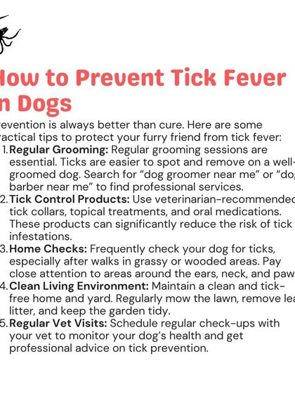 Woofly - Home Veterinary Services Parasite Prevention: Ticks, Fleas & More photo 10