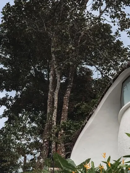 A detail of the building's form, where the white plastered shell meets the large arched window, looking out towards the trees.