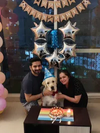 Custom Dog Cakes