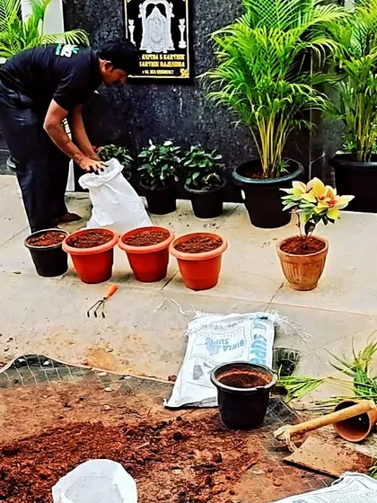 Here I am, doing what I love: setting up a client's garden. I offer complete gardening services, including planting and maintenance, to make your gardening journey easy and enjoyable.