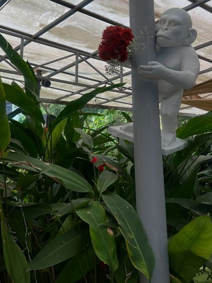 Immersive Themed Parties photo 8