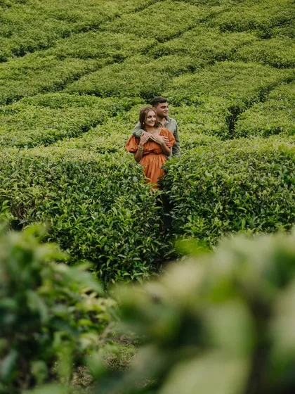 Framed by the vibrant green tea leaves in Munnar, the couple shares a quiet moment. This shot uses the natural environment to create depth and focus, drawing the viewer's eye to their embrace.